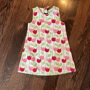 Gymboree Tip Toe Tulip Spring/Summer Cotton Dress